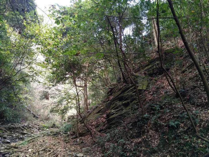 肝不好，不能吃豆腐？医生提醒：养肝护肝，尽量少吃“4素”