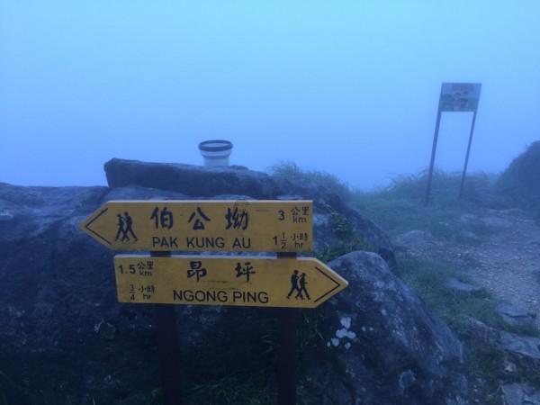 查尔斯·麦基《怪异的大众幻想》:非理性的人性弱点|《伟大的思想》(第二辑05册)